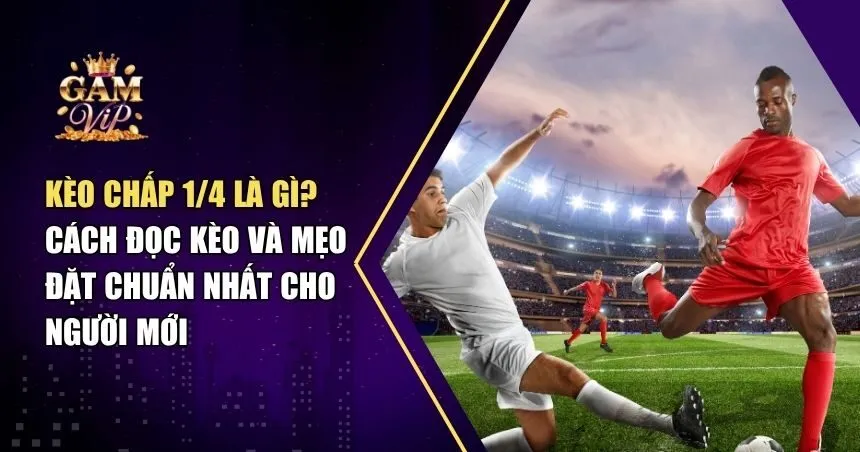 Giải Mã Kèo Chấp 1/4: Cách Tính Kèo Chuẩn Từ Cao Thủ Cá Cược